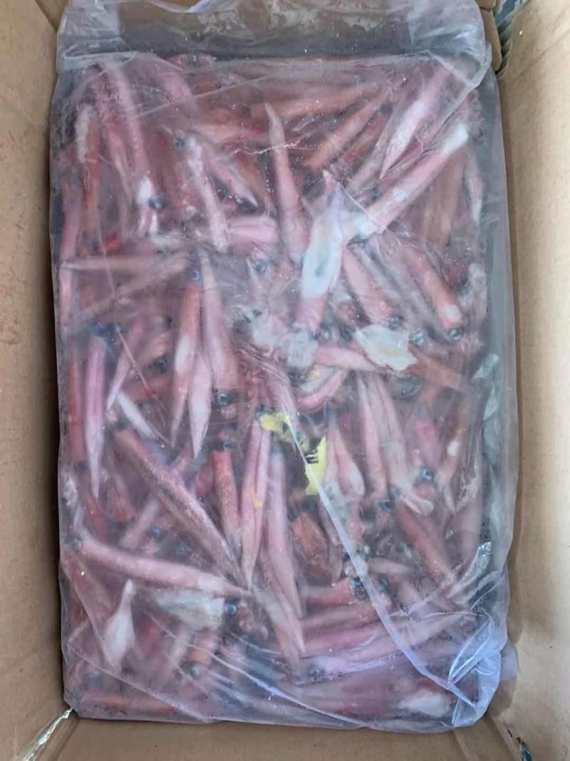 辣椒鱿鱼红管红鱿鱼批发