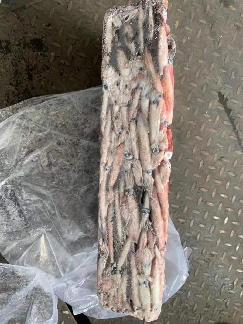辣椒鱿鱼红管红鱿鱼批发