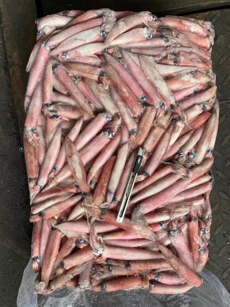 辣椒鱿鱼红管红鱿鱼批发