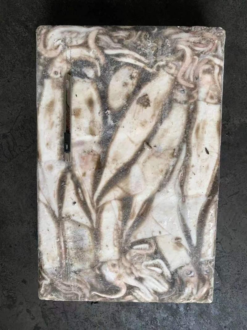 阿根廷鱿鱼批发