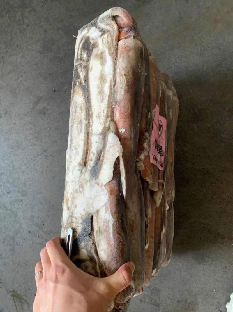 阿根廷鱿鱼批发