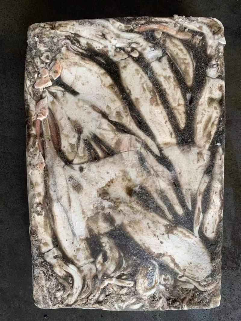 阿根廷鱿鱼批发