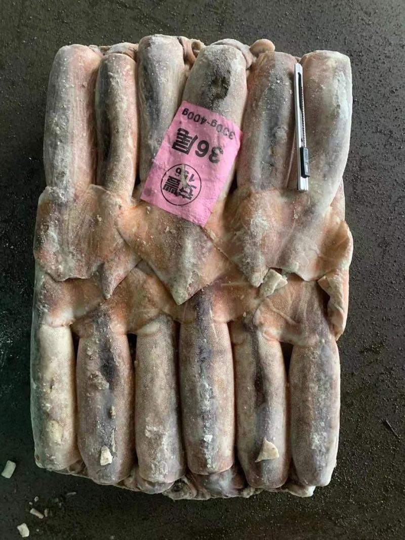 阿根廷鱿鱼批发