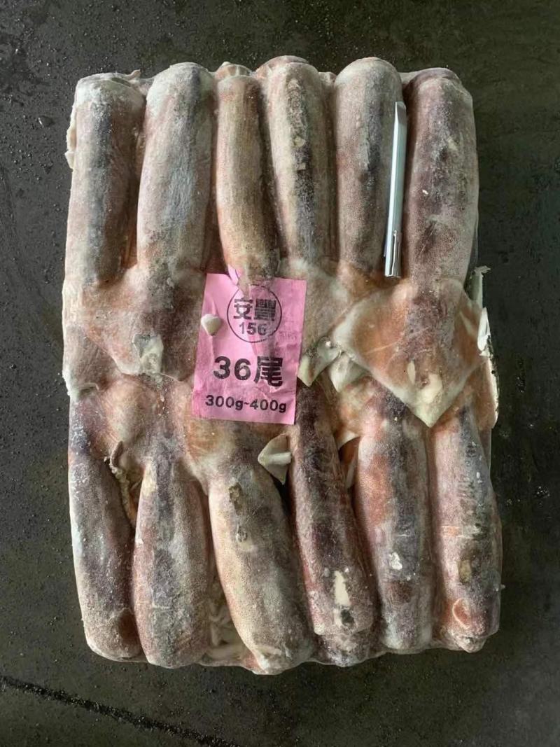 阿根廷鱿鱼批发