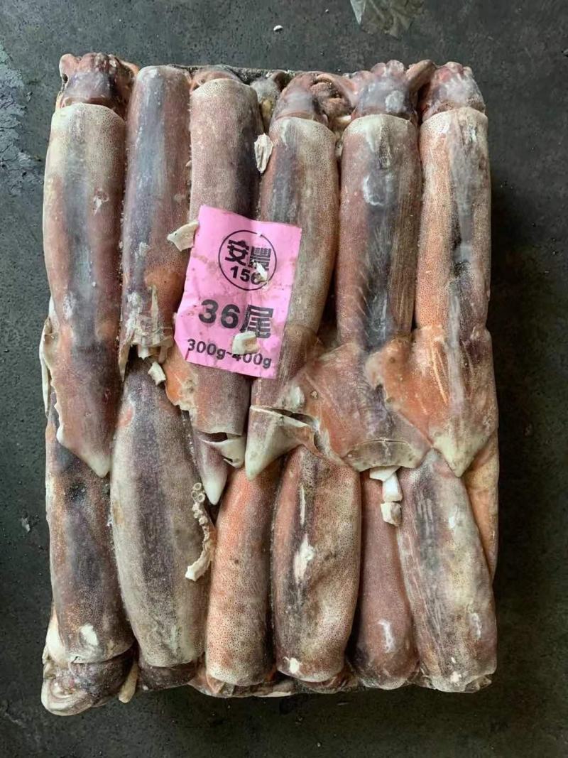 阿根廷鱿鱼批发