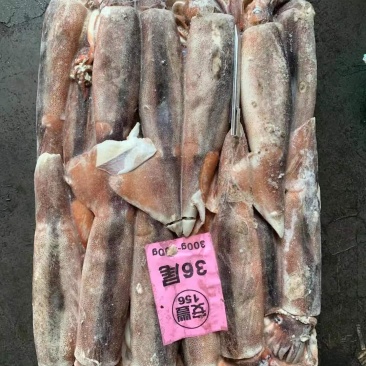 阿根廷鱿鱼批发