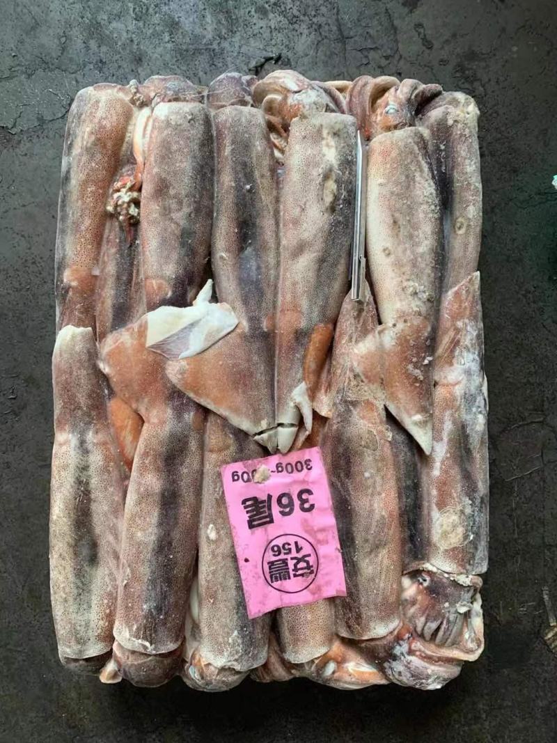阿根廷鱿鱼批发