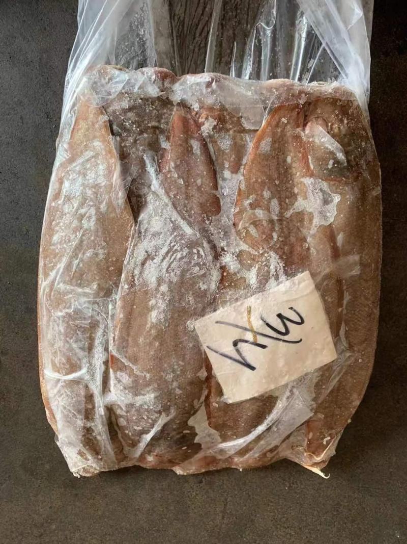 龙利鱼批发舌鳎鱼龙舌鱼批发水产批发