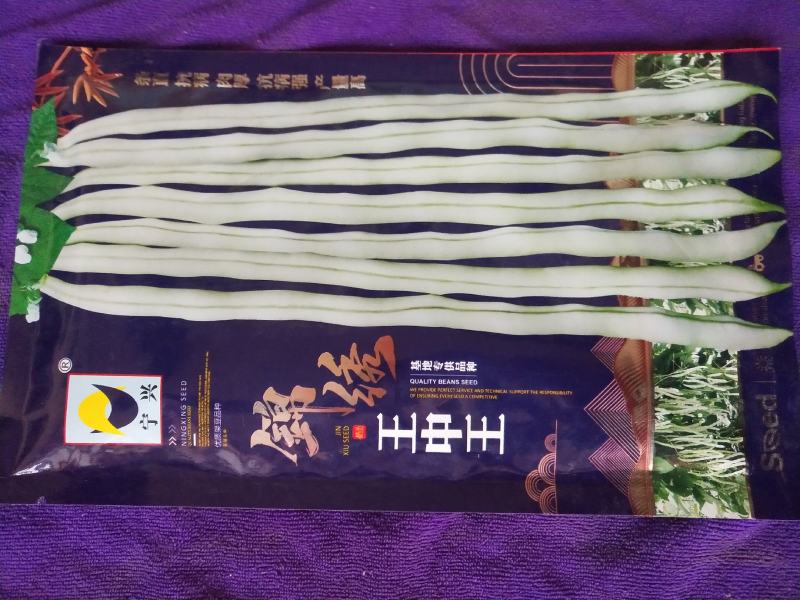 王中王架豆种子，白条顺直，抗病强，产量高，荚形亮丽美观，