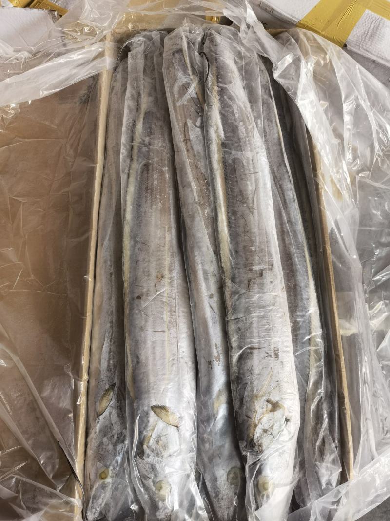带鱼批发水产批发各种水产批发