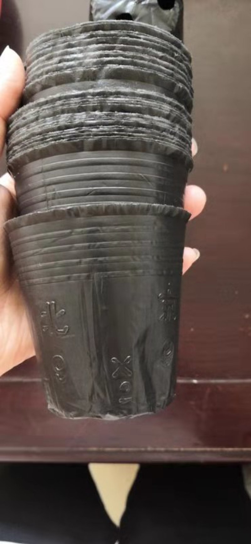 营养钵双色杯各种型号大量有货