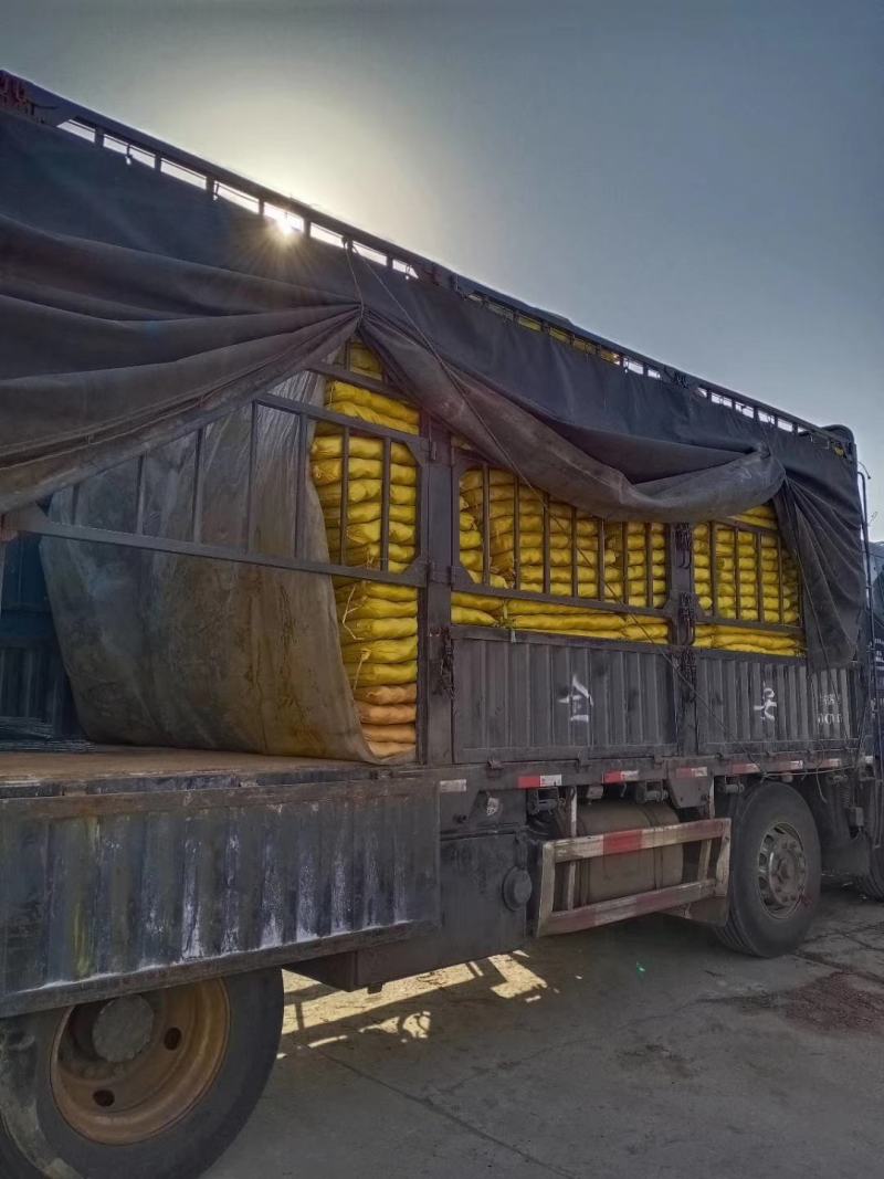 营养钵双色杯各种型号大量有货