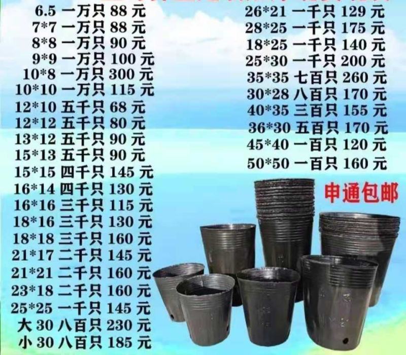 营养钵双色杯各种型号大量有货