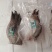 鳄鱼掌