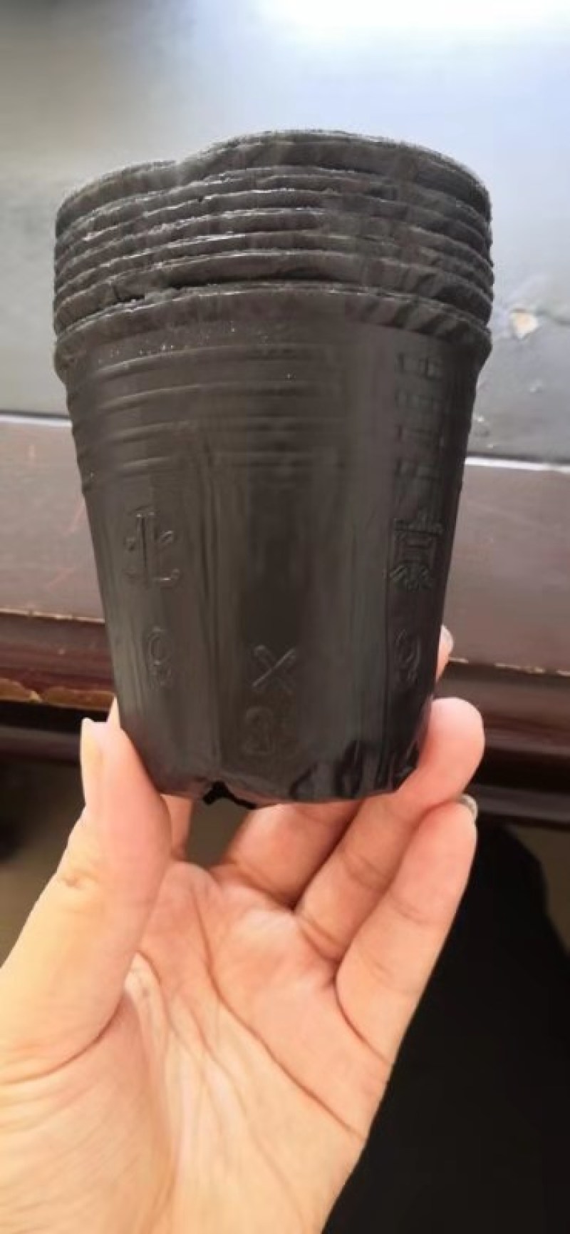 营养钵双色杯各种型号大量有货欢迎老板长期合作