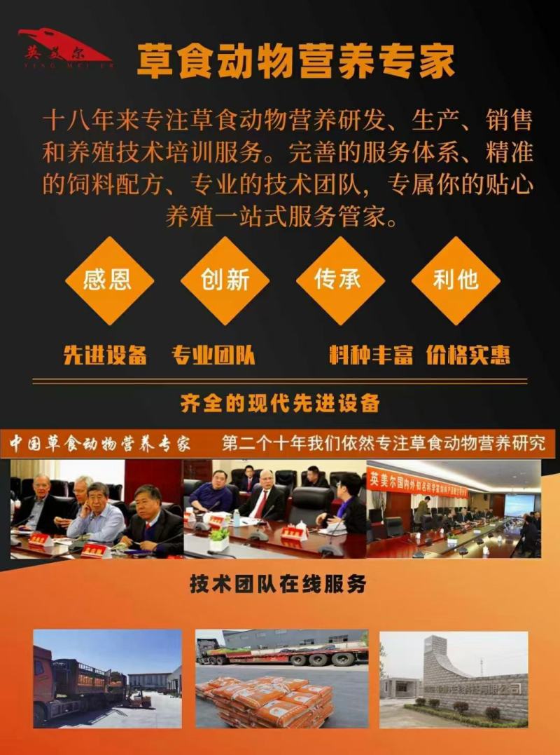 种牛饲料繁殖母牛专用饲料提高繁殖能力繁殖母牛预混料成都英