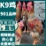 鸡苗新广901鸡苗K9鸡苗【产、供、销一条龙服务】