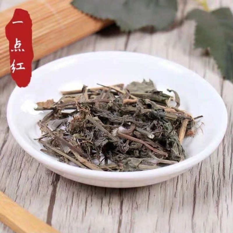 一点红中草药野生一点红新鲜干货叶下红一点红叶