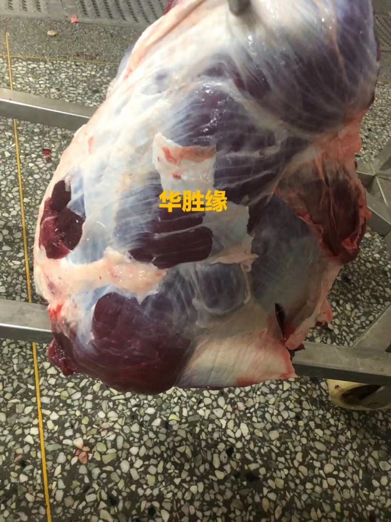 华胜缘只做国产好牛肉