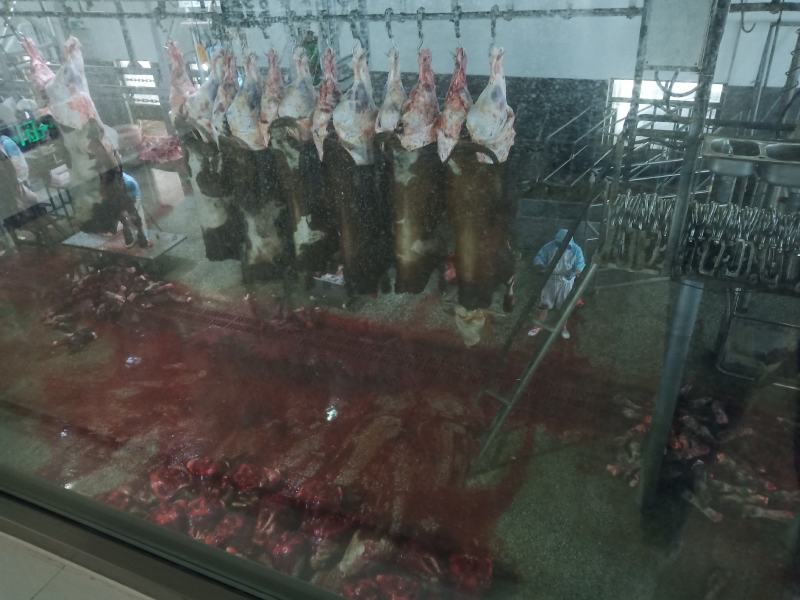 华胜缘只做国产好牛肉
