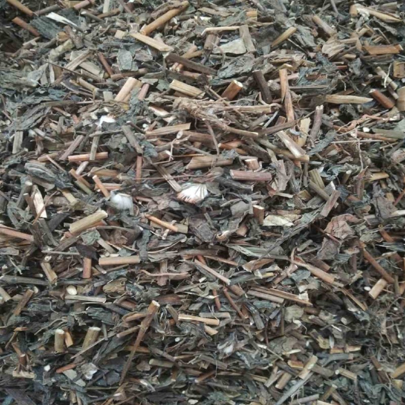 一点红中草药野生一点红新鲜干货叶下红一点红叶