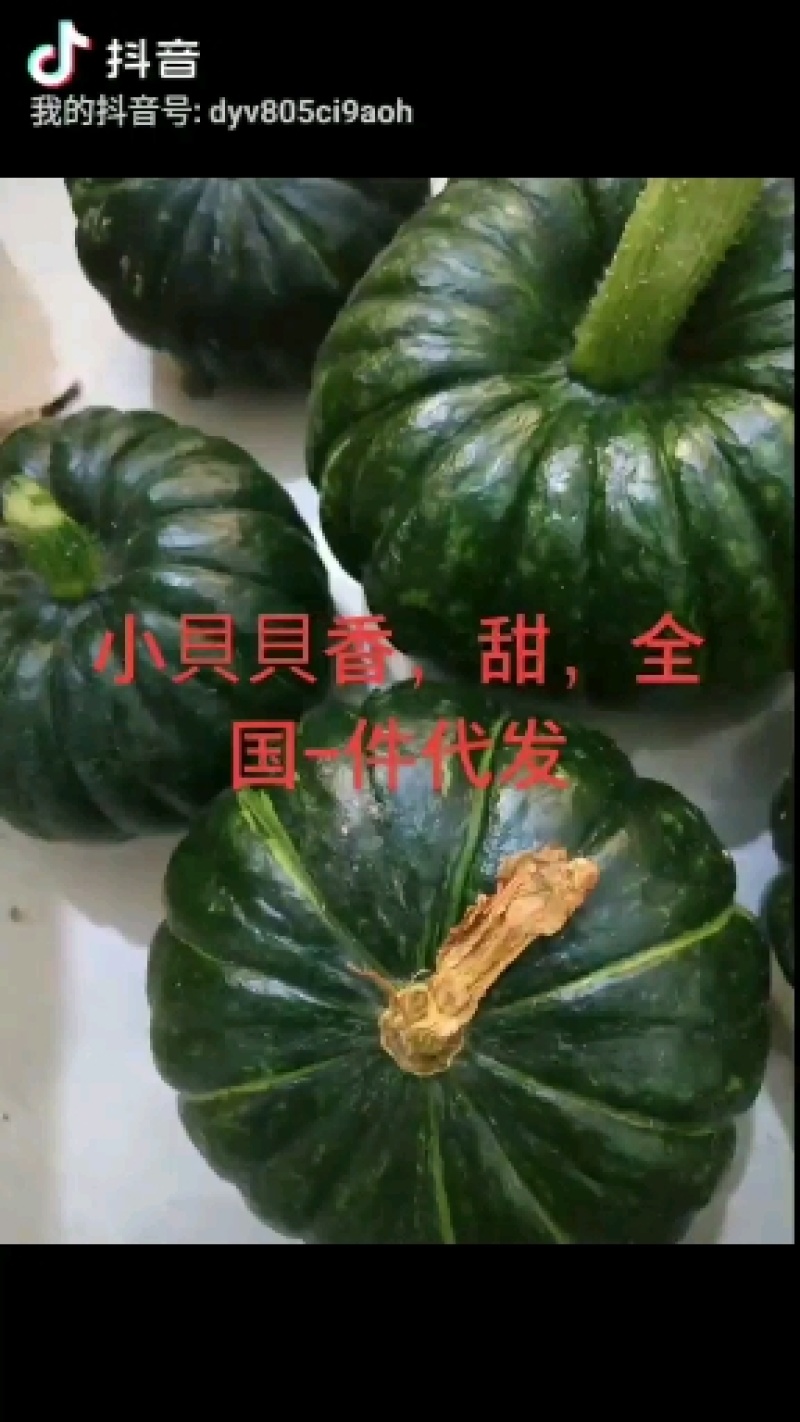 南瓜