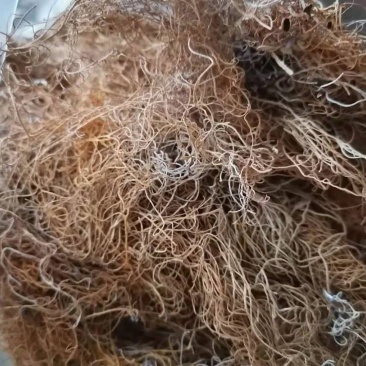 红线茶，大阳晒干无琉，产地直发