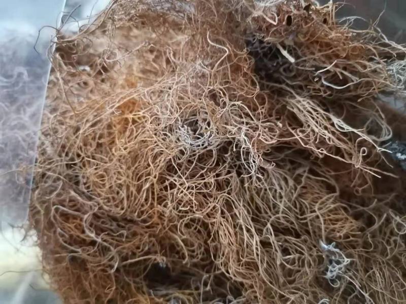 红线茶，大阳晒干无琉，产地直发