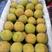 陕西凯特杏，金寿杏，果个大，果面干净，耐运输，产地批发
