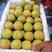 陕西凯特杏，金寿杏，果个大，果面干净，耐运输，产地批发