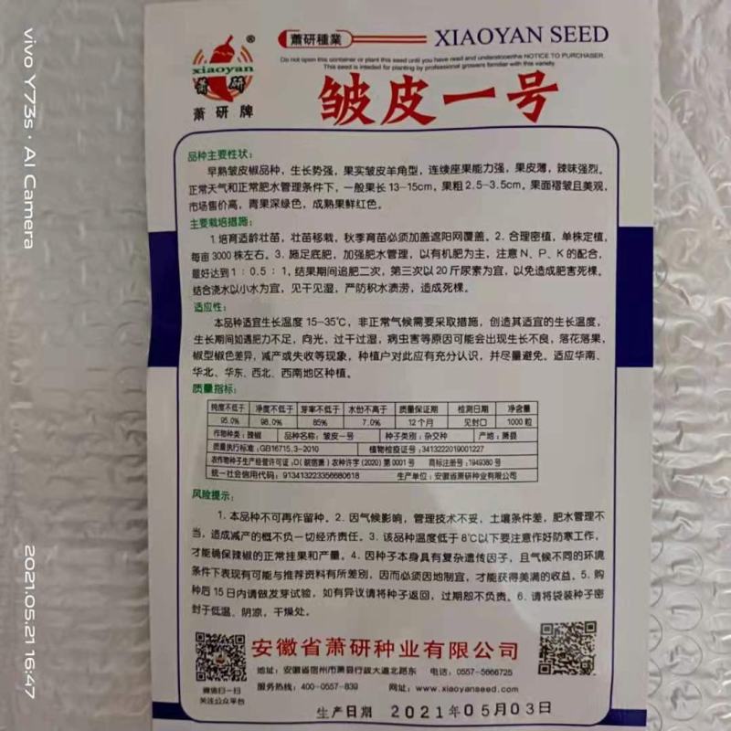 苏润皱皮椒种子一代杂交品种薄皮皱皮辣椒种子