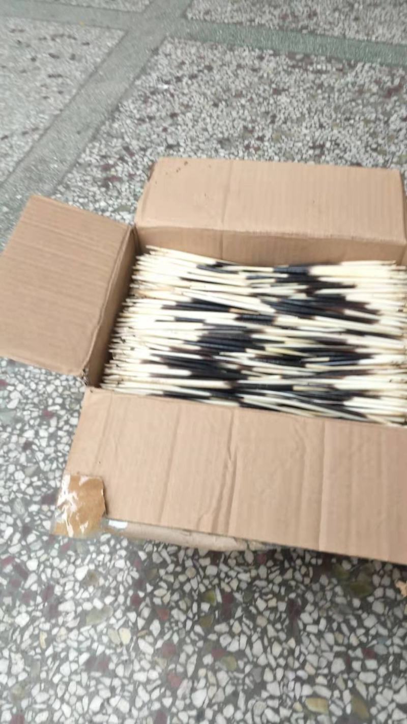 豪猪刺中药材工艺品量大优惠