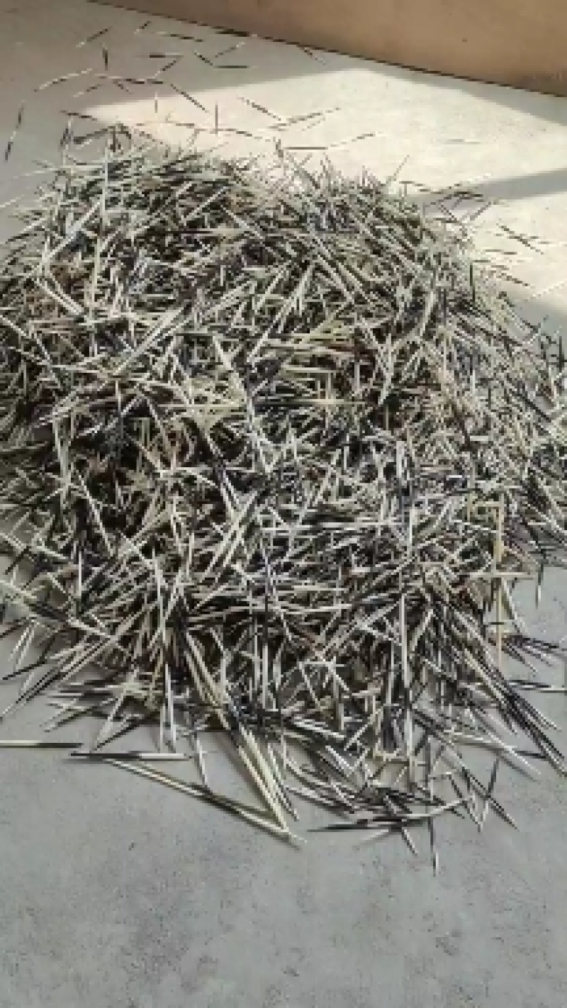 豪猪刺中药材工艺品量大优惠