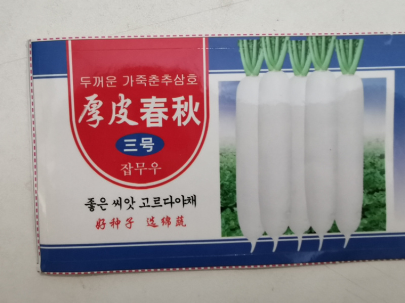 厚皮春秋三号/萝卜种子/韩国萝卜种子/白萝卜种子/绵蔬