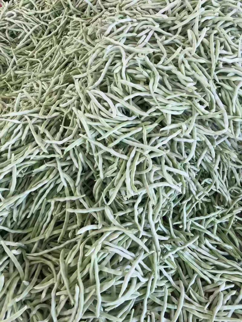 辽宁鞍山精品，白豆角，大量上市，一手货源