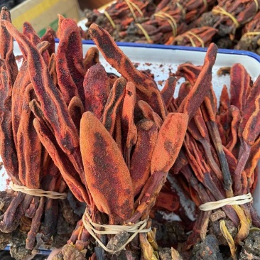 回春草大量有现货他产地直供一手货源云南回春草
