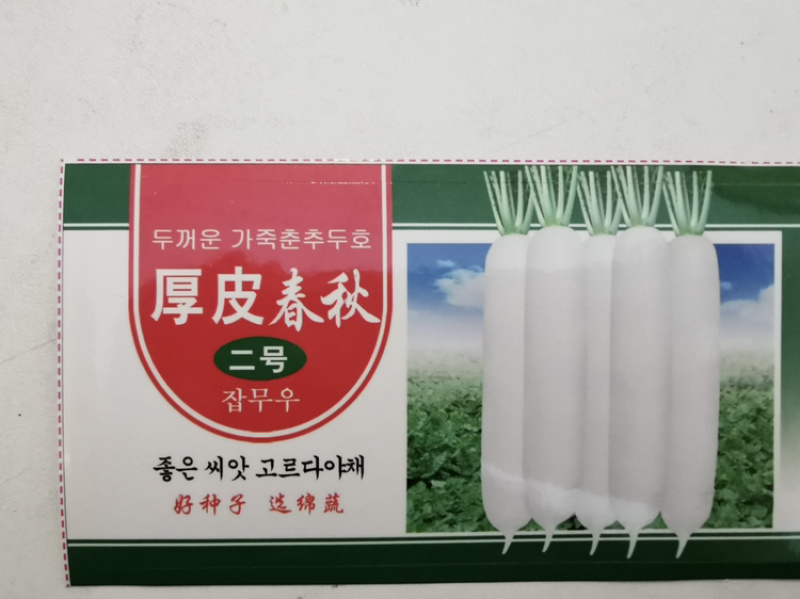 绵蔬厚皮春秋二号/萝卜种子/韩国萝卜种子/白萝卜种子