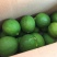 大量供应四季柠檬
