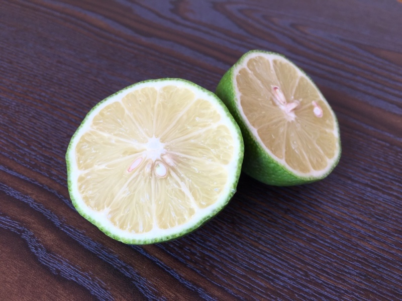大量供应四季柠檬