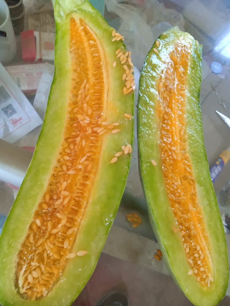 羊角蜜甜瓜。暖棚口感好。量大欢迎采购