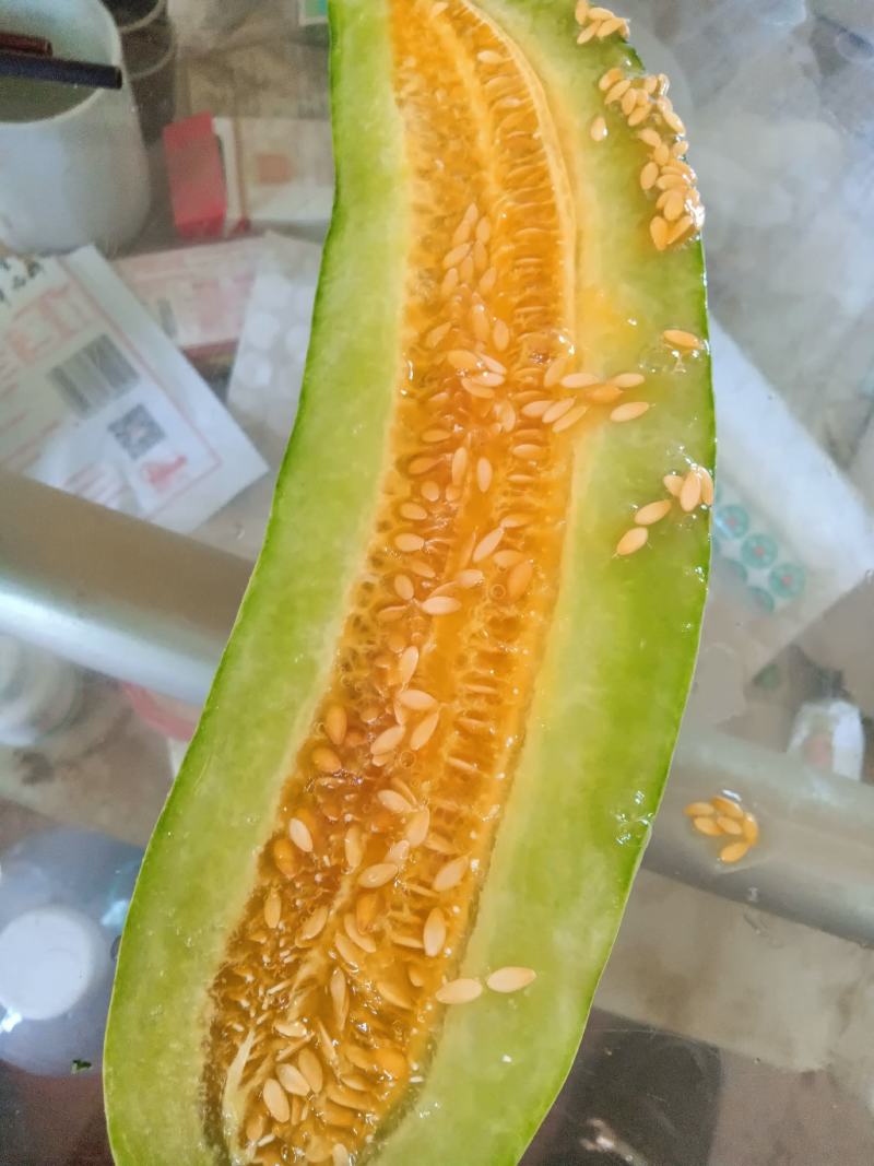 羊角蜜甜瓜。暖棚口感好。量大欢迎采购