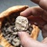 粉防己，江西粉防己苗大量供应