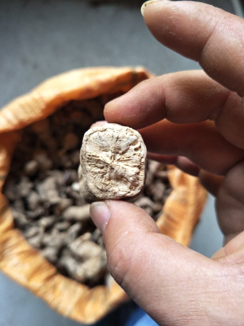 粉防己，江西粉防己苗大量供应