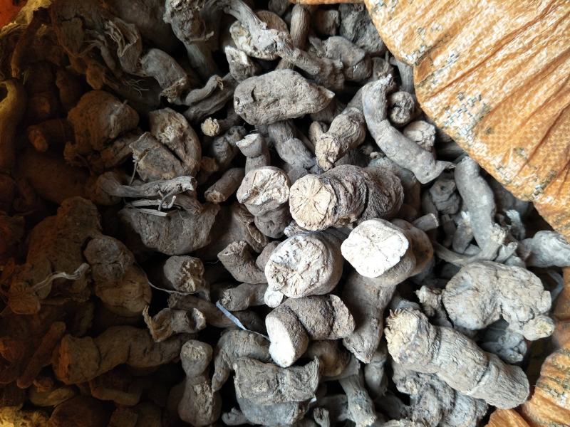 粉防己，江西粉防己苗大量供应