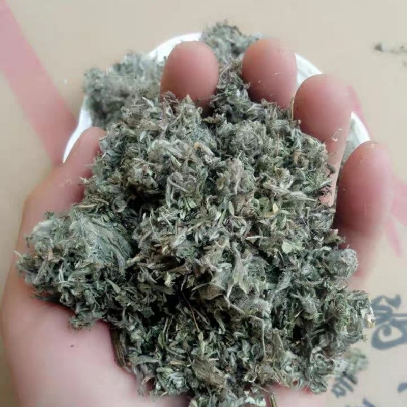 21年新货绵茵陈乙干茵陈中药野生正宗草药茵陈绵茵陈泡水