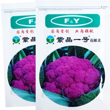 紫花菜种子紫晶一号花椰菜口感好耐储运产量高