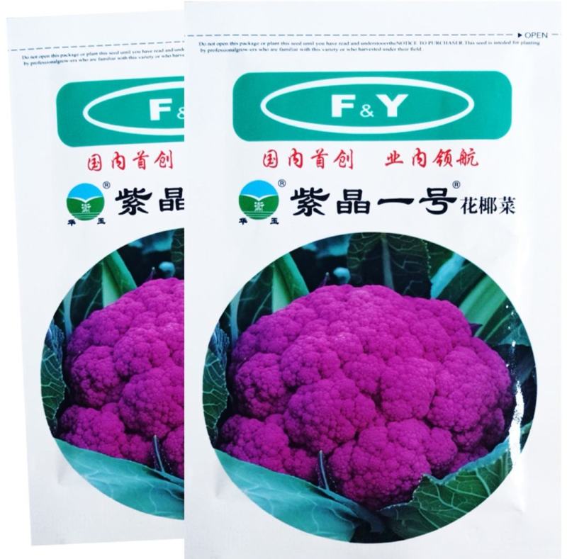 紫花菜种子紫晶一号花椰菜口感好耐储运产量高