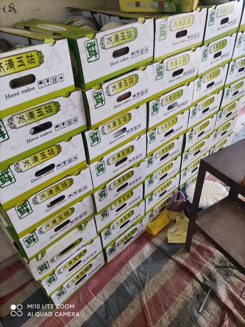热销，大量上市中，网红冰激凌甜瓜冰清玉姑河南滑县万亩基地