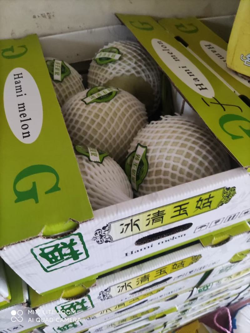 热销，大量上市中，网红冰激凌甜瓜冰清玉姑河南滑县万亩基地