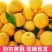 黄毛桃